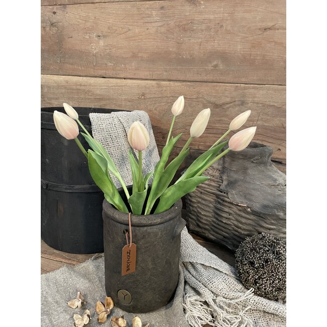 8703117 tulp 7 in bos cream pink