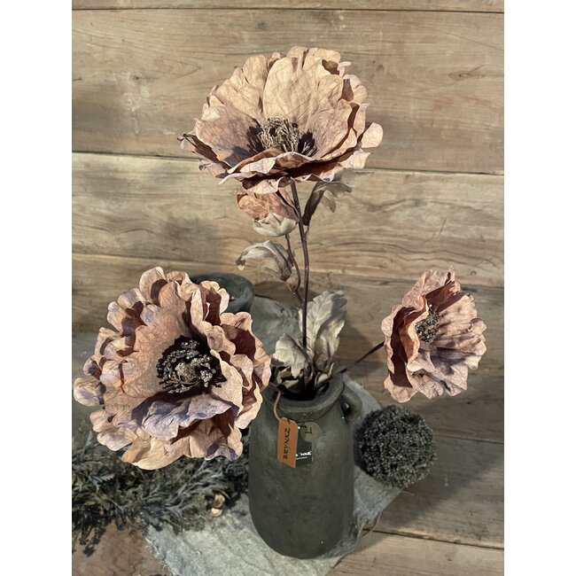 Brynxz Poppy Bundle De Luxe Brown 105 cm