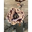 Brynxz Poppy Bundle De Luxe Brown 105 cm