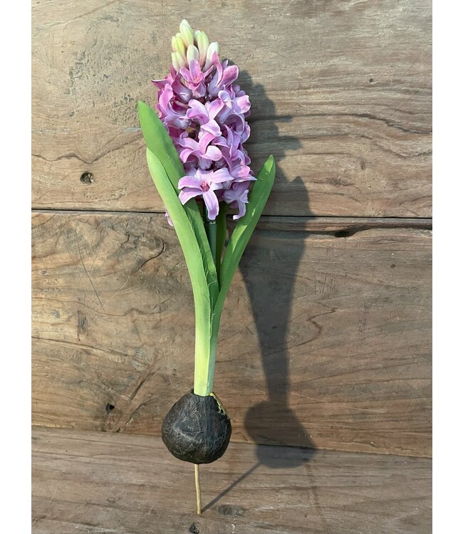Hyacinth 35cm - paars