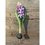 Hyacinth 35cm - paars