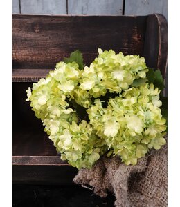 Snowball Bush x7 26cm - sneeuwbal