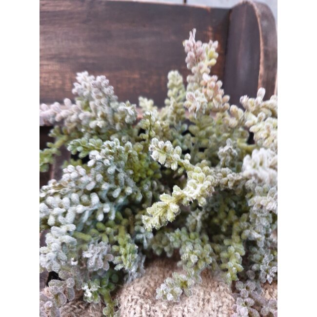 ## mini plant 25cm - grijs