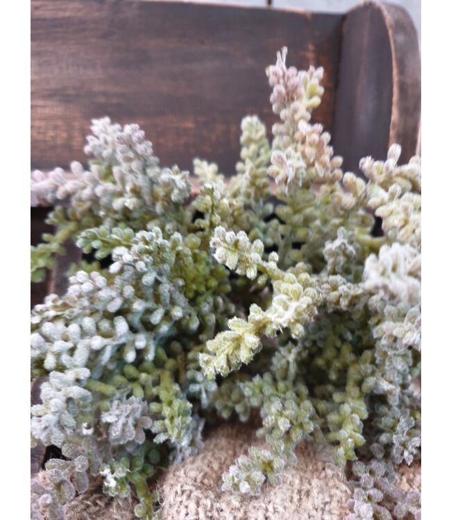 mini plant 25cm - grijs