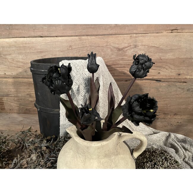 Zwarte tulpen boeket - parkiet/kartel - 5 stelen - 40 cm