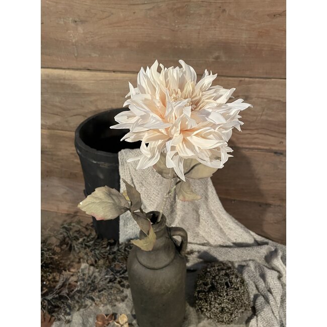 Brynxz Dahlia spray mumba cream 63 cm