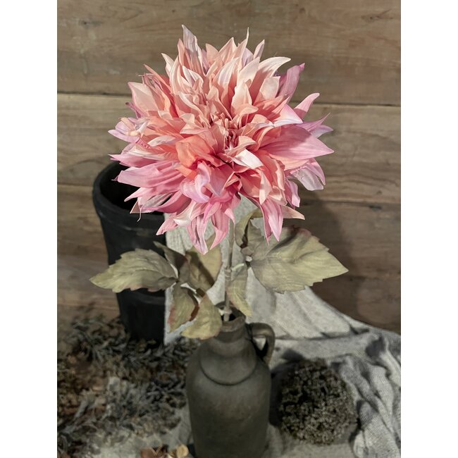 Brynxz Roze dahlia 63 cm