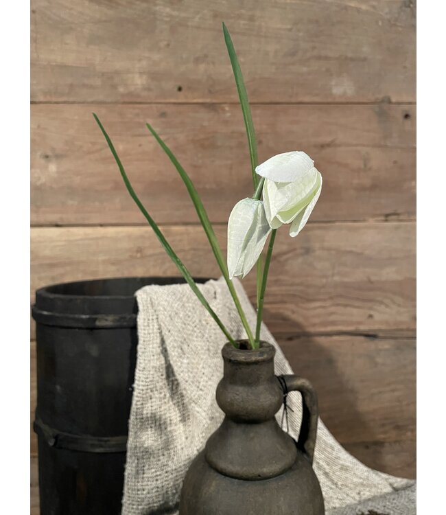 Fritillaria Spray 54cm - kievitsbloem