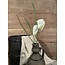 Fritillaria Spray 54cm - kievitsbloem