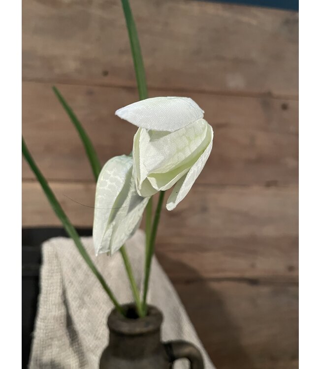 Fritillaria Spray 54cm - kievitsbloem