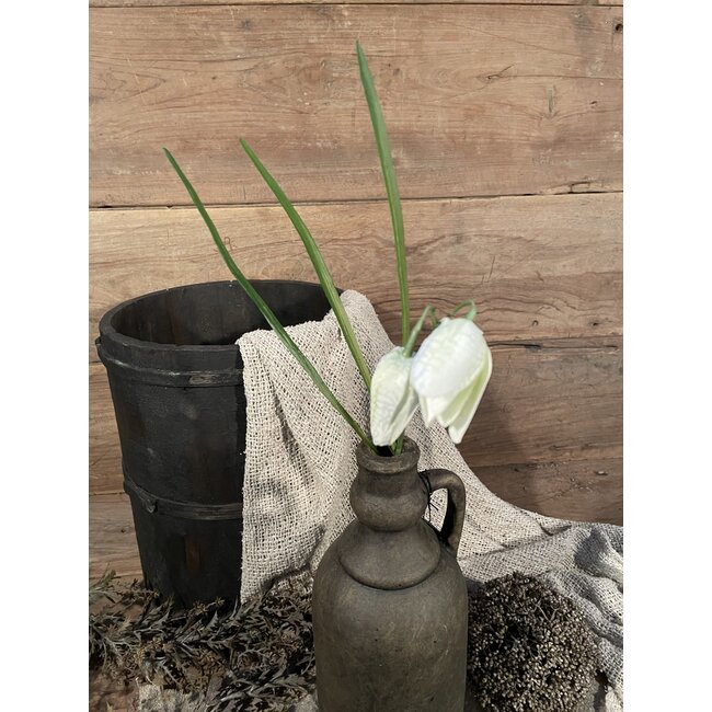 Fritillaria Spray 54cm - kievitsbloem