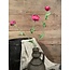 Ranunculus Spray x3 w/6lvs 57cm - ranonkel - fuchsia