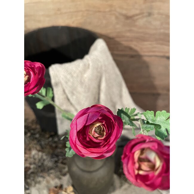 Ranunculus Spray x3 w/6lvs 57cm - ranonkel - fuchsia