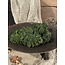 Moss Bush Vine 24cm - groen - kunst