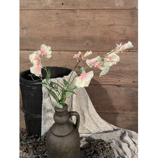 Roze/witte siererwt 70 cm