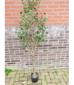 Countryfield Olijfboom kunst "Olea Europaea" - XL