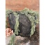 Brynxz Planter Oval Edge Huge Stone Black M 34x15x35