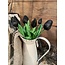 Countryfield Tulipa boeket zwart-L15B15H28CM 808544 - boeket zwarte tulpen