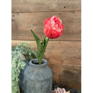 Brynxz Roze -rode - tulp - 48 cm