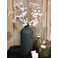 Gypsophila roze-L20B20H62CM - gipskruid