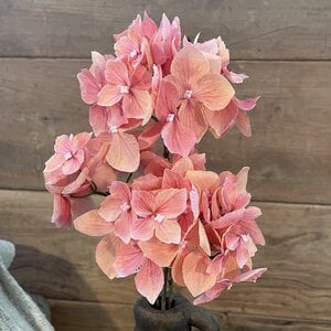 Zijdebloemen