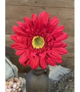 rode gerbera