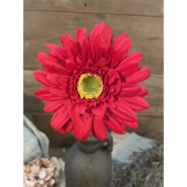 Rode gerbera 60 cm