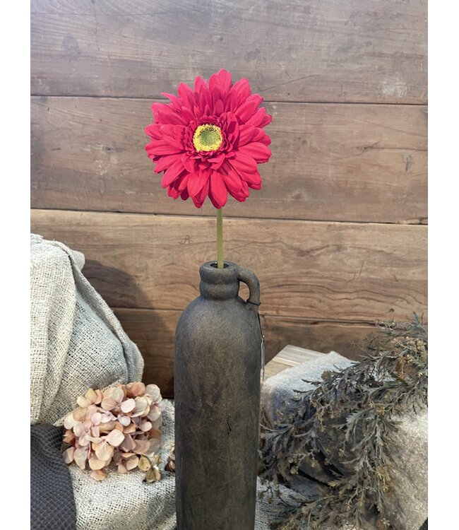 rode gerbera