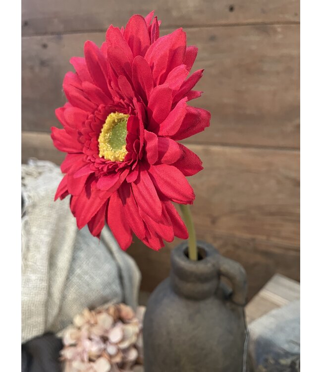 rode gerbera
