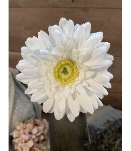 # Witte gerbera 60 cm