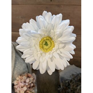 # Witte gerbera 60 cm