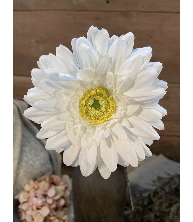 GERBERA STEM WHITE D11 H60 CM