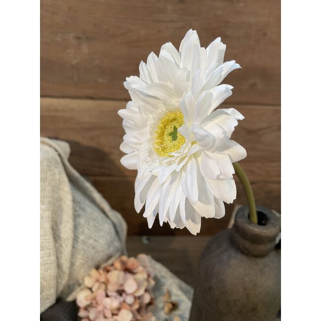 GERBERA STEM WHITE D11 H60 CM