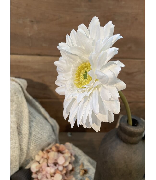GERBERA STEM WHITE D11 H60 CM