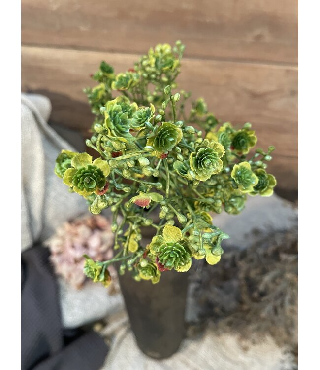 Gipskruid - 70cm -  groen