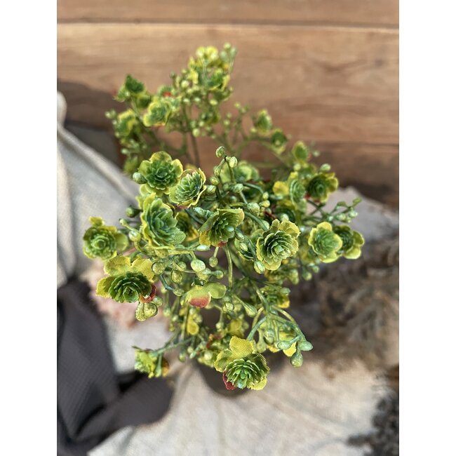 Gipskruid - 70cm -  groen