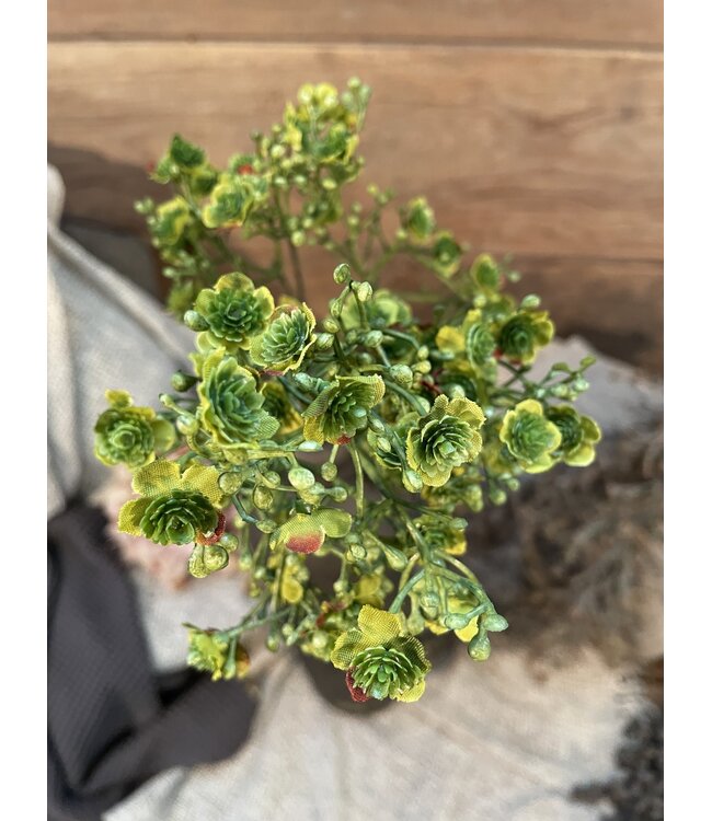 Gipskruid - 70cm -  groen