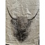 Shabby - wanddoek - linnen - schotse hooglander - 45 x 90 cm