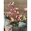 Bloesem tak - oud roze - 98cm