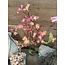 Brynxz Bloesem tak - oud roze - 98cm