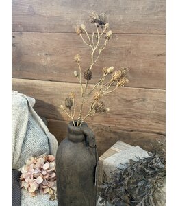 Bruine eryngium 57 cm