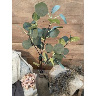 Countryfield ~Groene eucalyptus 90 cm