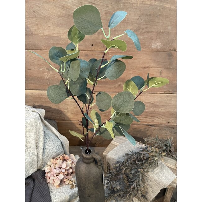 Countryfield Eucalyptus groen-L17B17H90CM