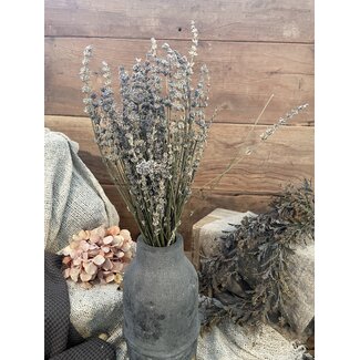 Lavendel bos ca. 50cm 80gram