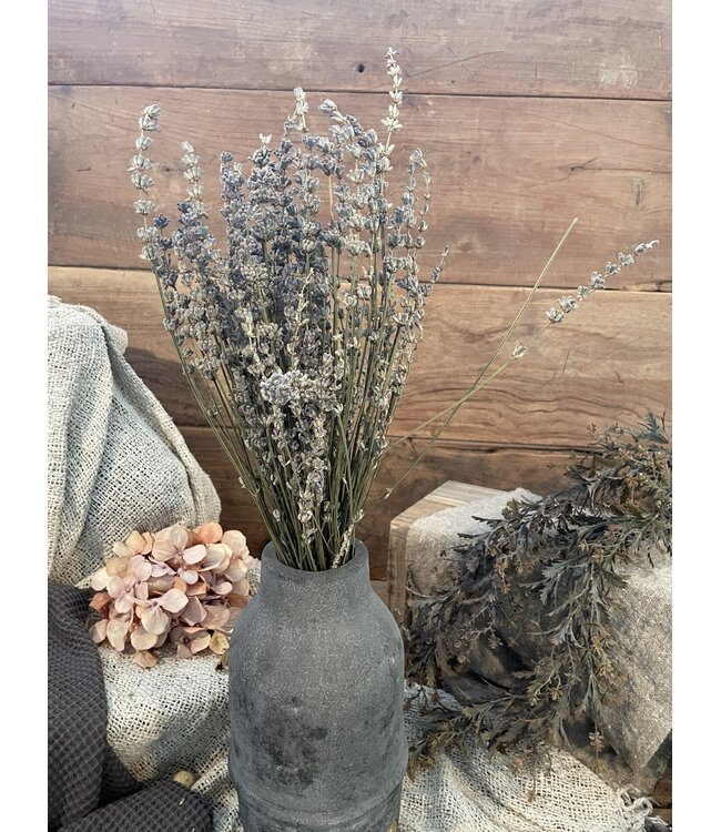 Lavendel bos ca. 50cm 80gram