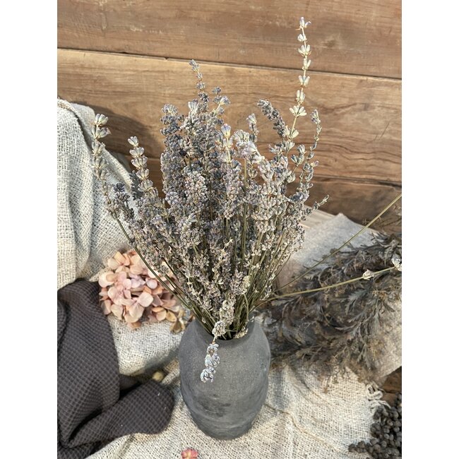 Lavendel bos ca. 50cm 80gram