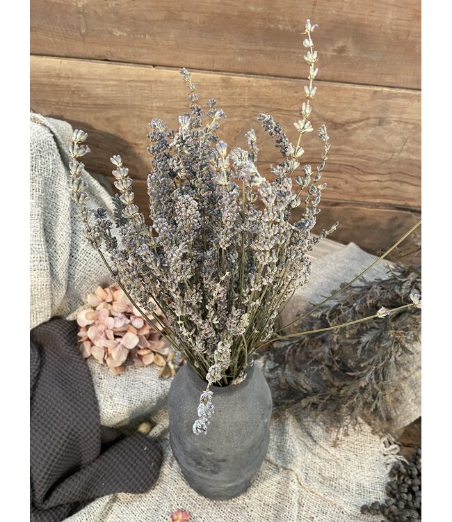 Lavendel bos ca. 50cm 80gram