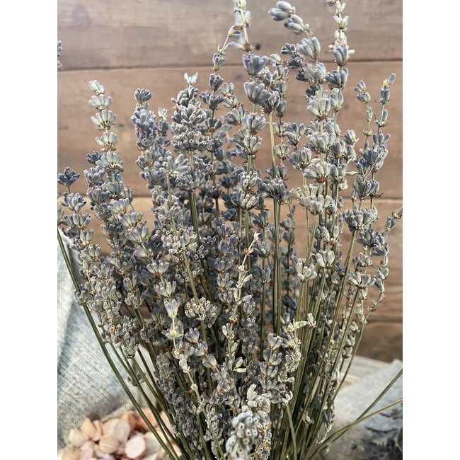 Lavendel bos ca. 50cm 80gram