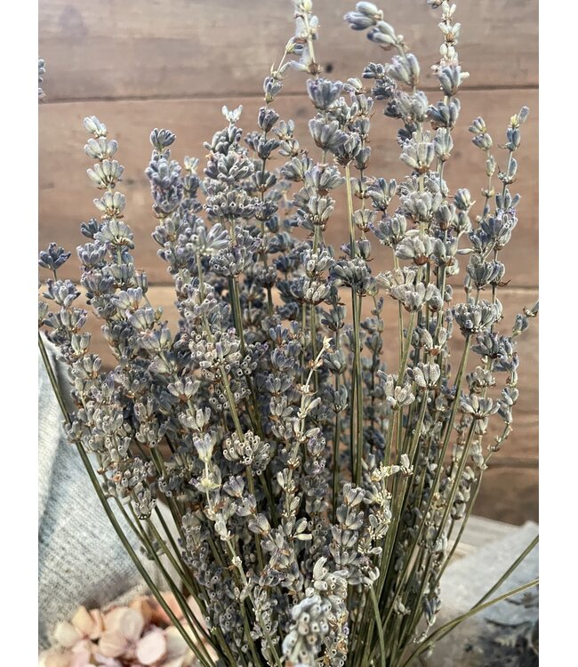 Lavendel bos ca. 50cm 80gram
