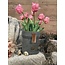 Brynxz Bloempot met leer Majestic Vintage D.16 grootste